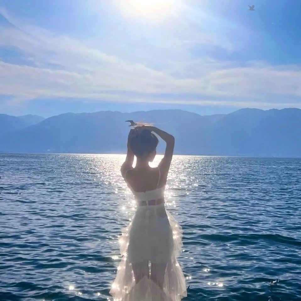 八公犬物语 海报